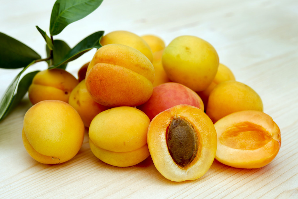 Apricots Apricots