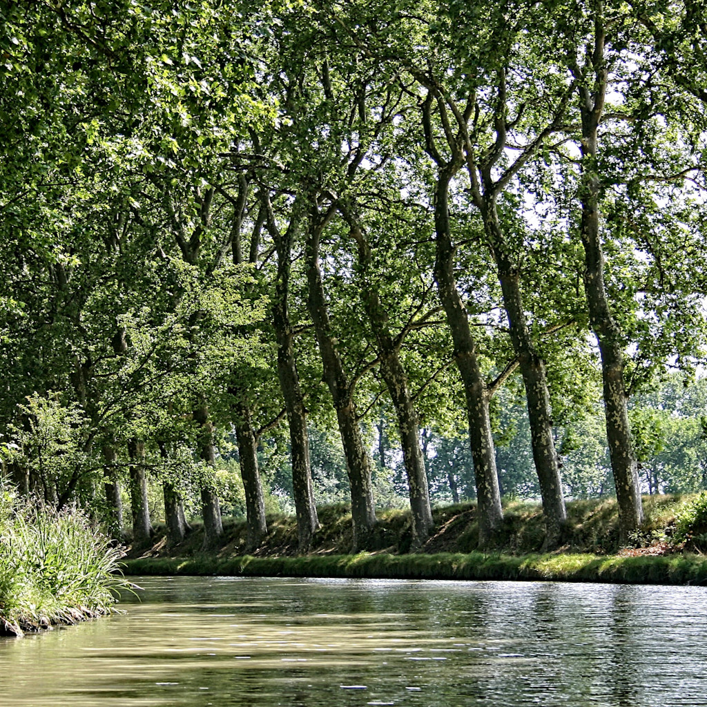 Canal du Midi Canal du Midi