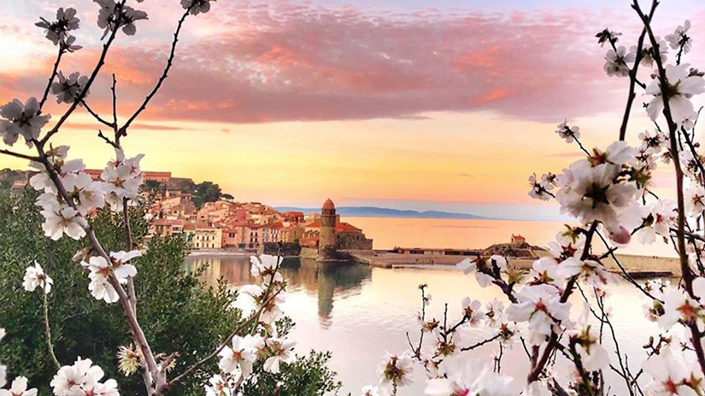 Collioure Collioure