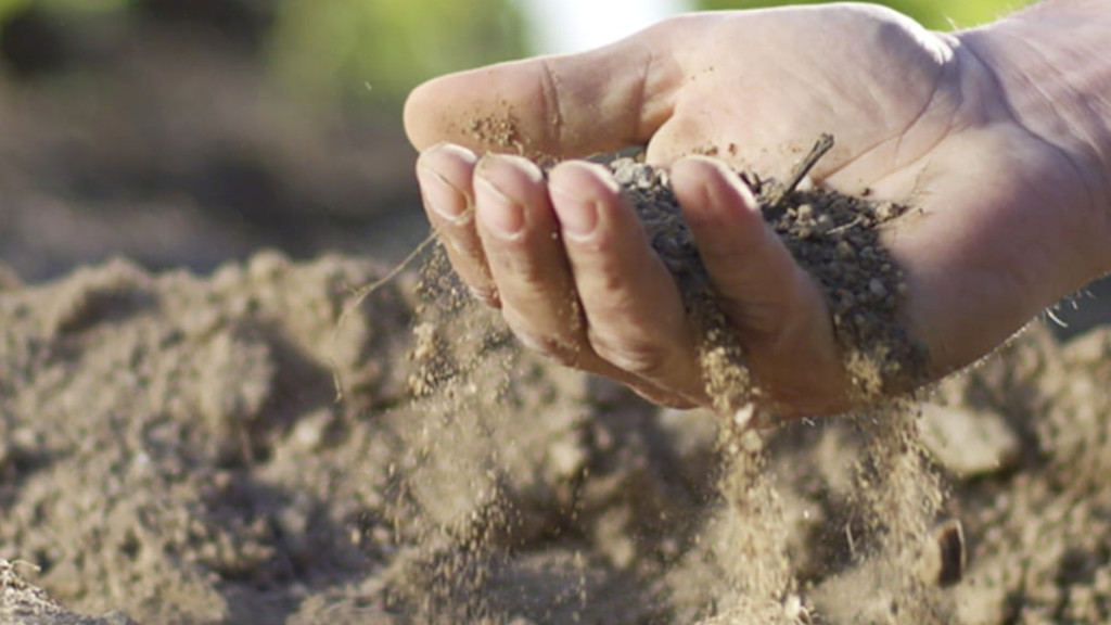 Chateau de la Chaize Chateau de la Chaize