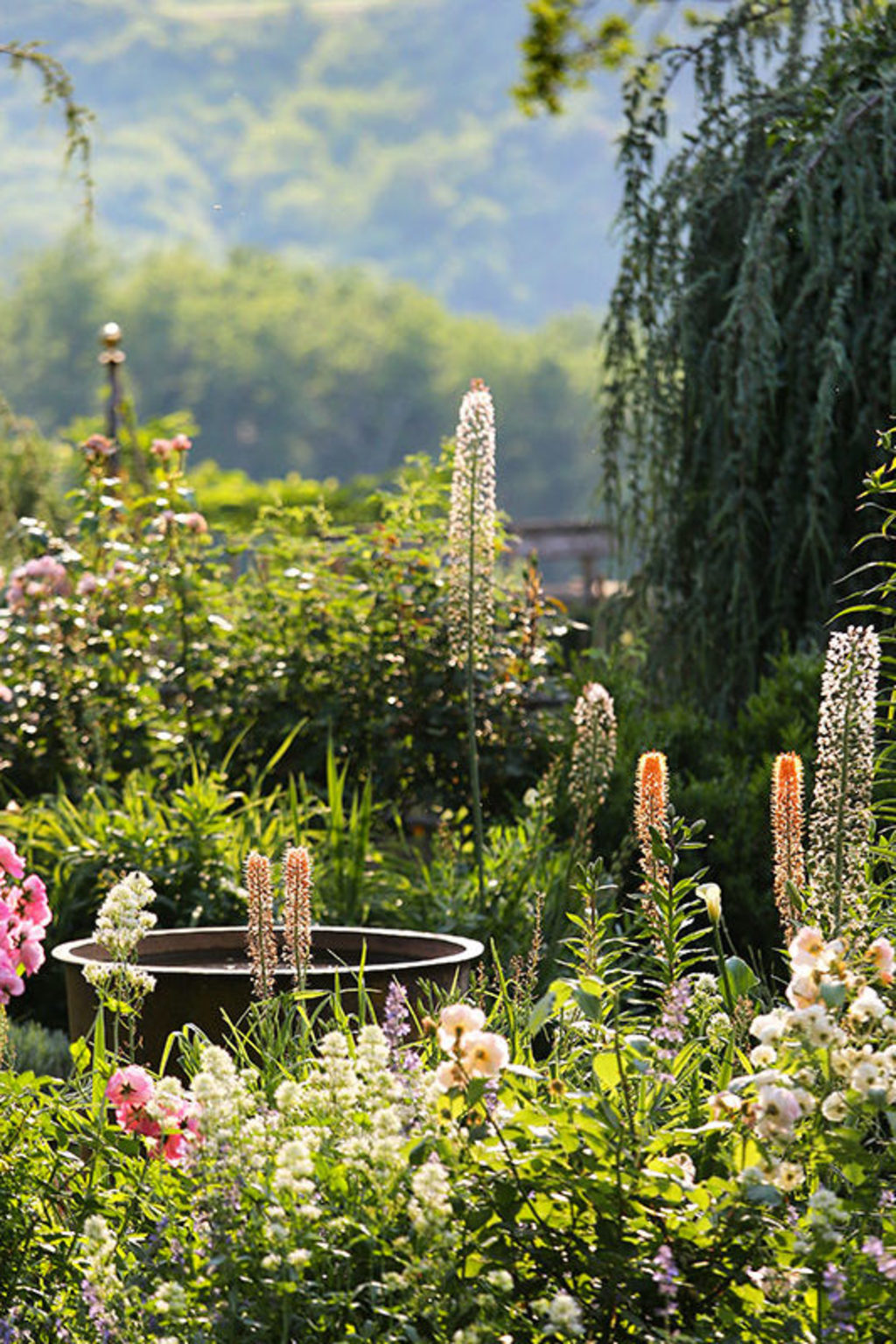 Eyrignac Garden Eyrignac Garden