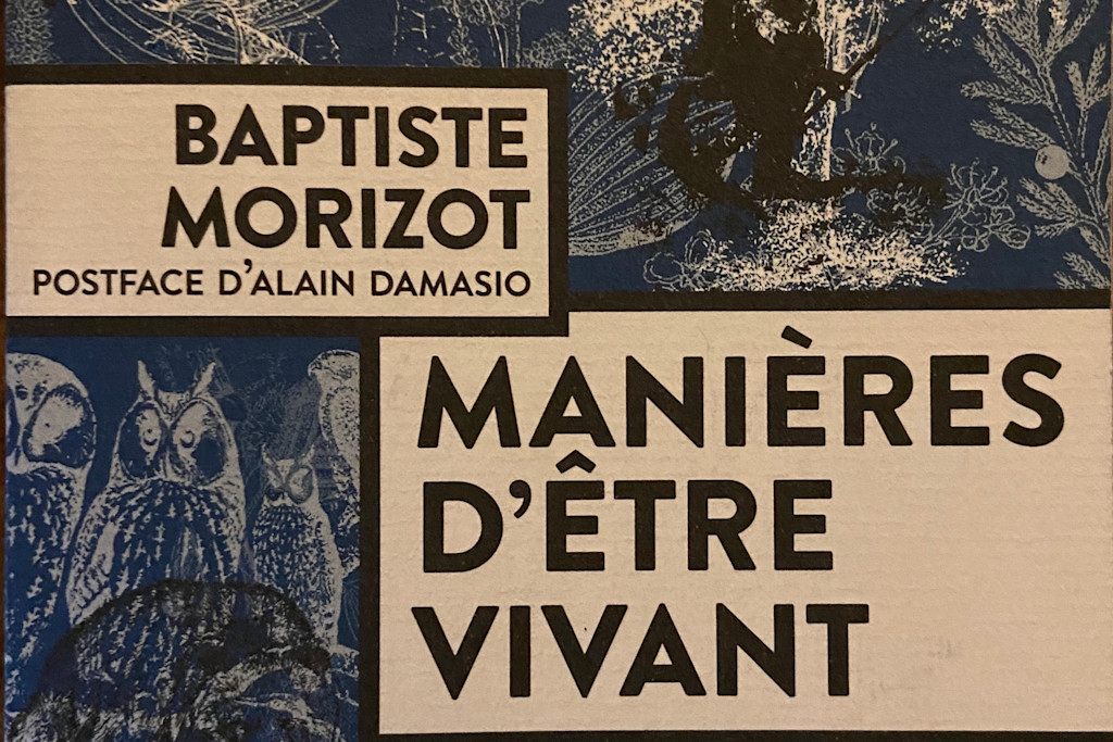 Baptiste Morizot Manières d'être vivant Baptiste Morizot Manières d'être vivant