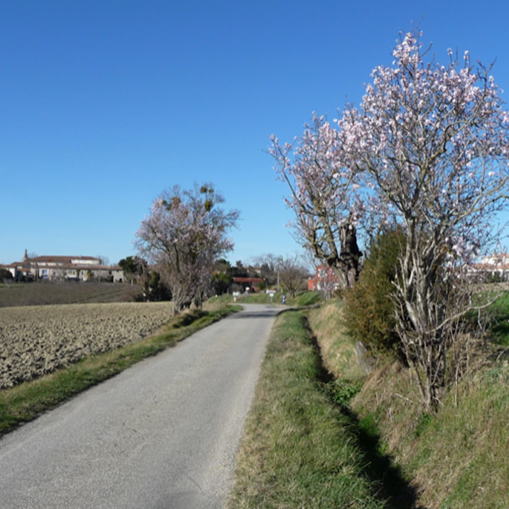 The scene today The scene today