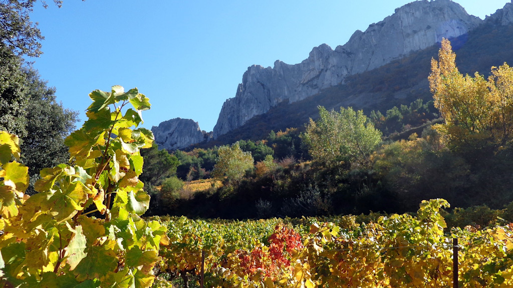 Dentelles de Montmirail Dentelles de Montmirail
