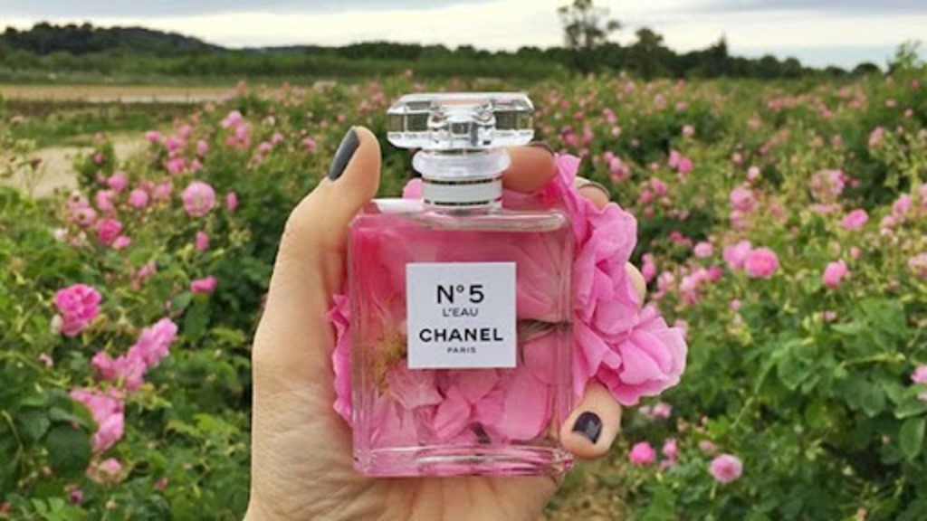 Grasse Chanel Grasse Chanel