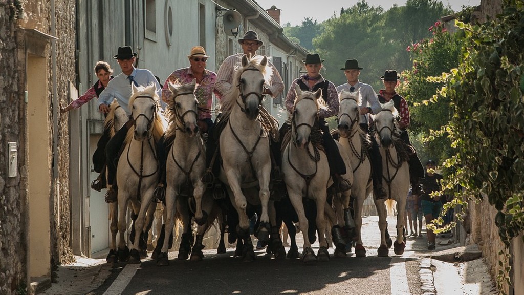 Camargue Camargue