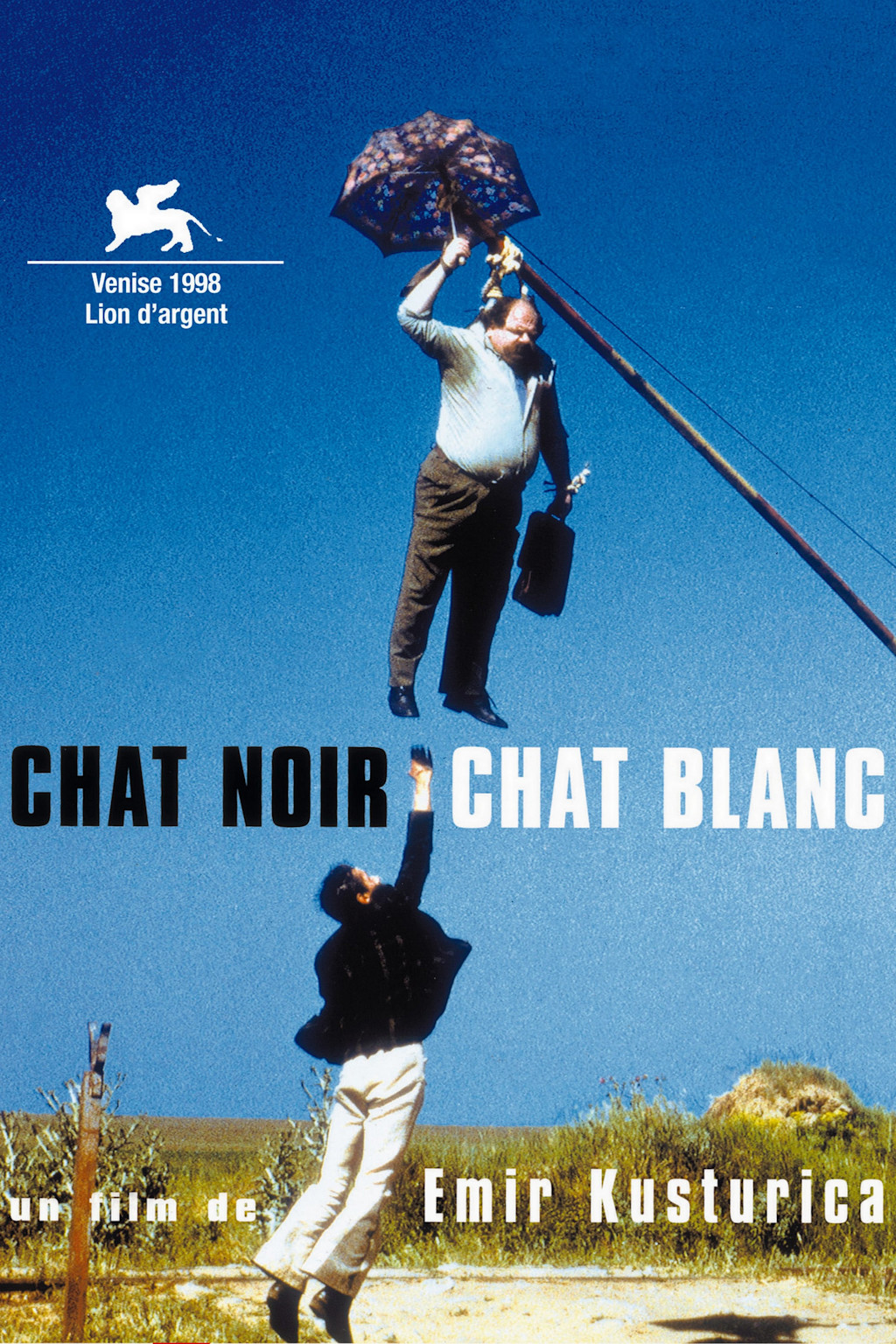 Chat Noir Chat Blanc Chat Noir Chat Blanc