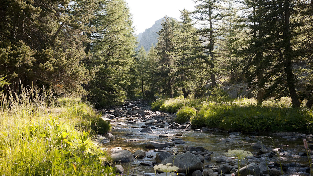Mercantour National Park in the Alpes-de-Haute-Provence Mercantour National Park in the Alpes-de-Haute-Provence
