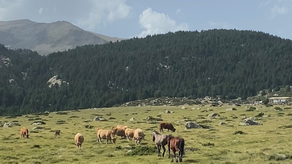 Les Bouillouses Les Bouillouses