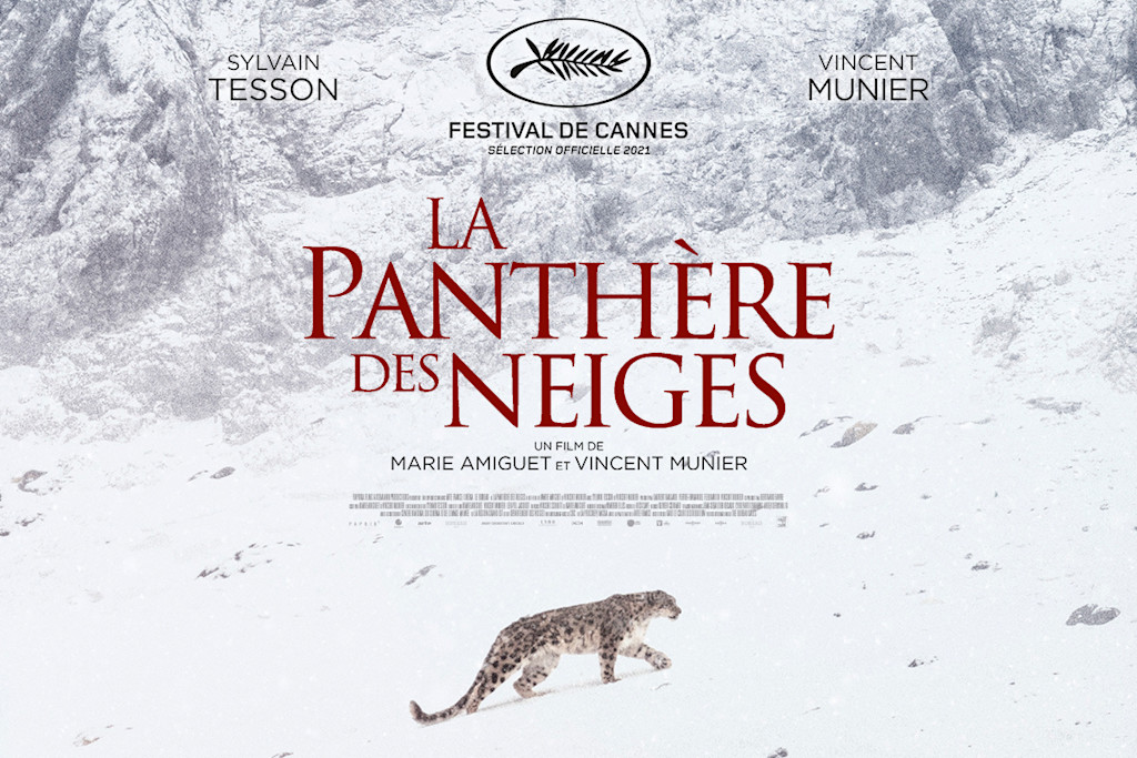 Documentaire La Panthère des neiges Documentaire La Panthère des neiges