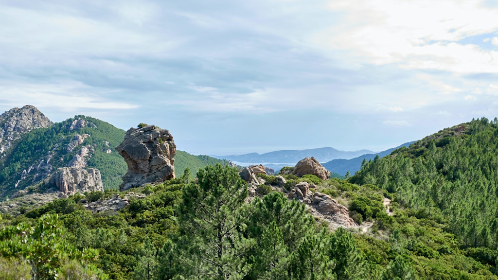 Corsica Corsica