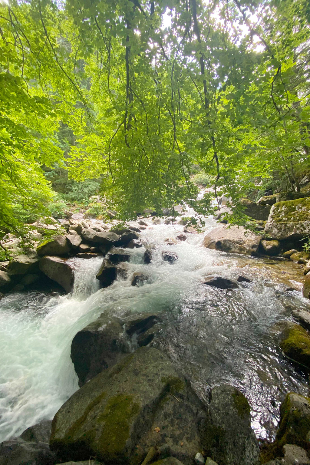Pont d'Espagne Hautes Pyrénées Pont d'Espagne Hautes Pyrénées