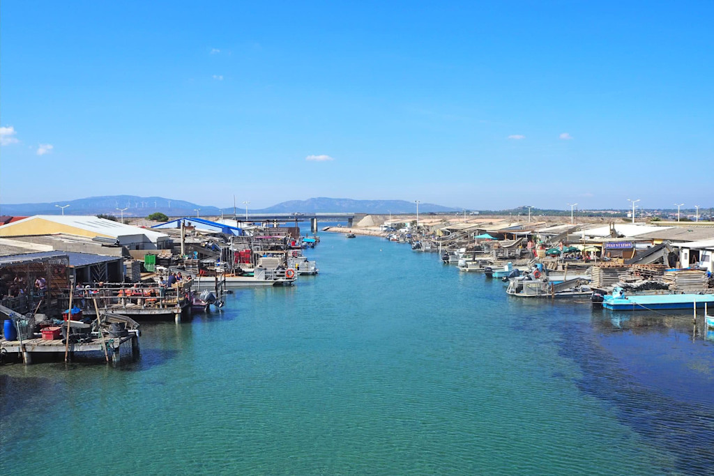 Dégustation d'huîtres fraiches à Leucate, Occitanie Dégustation d'huîtres fraiches à Leucate, Occitanie