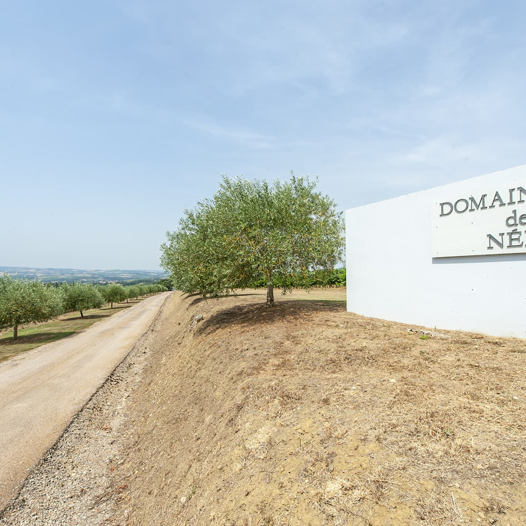 Domaine de Nérige Domaine de Nérige