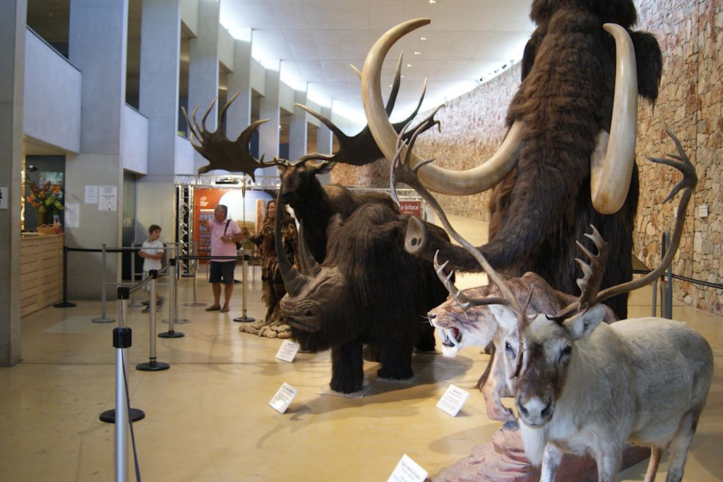 Musée Musée