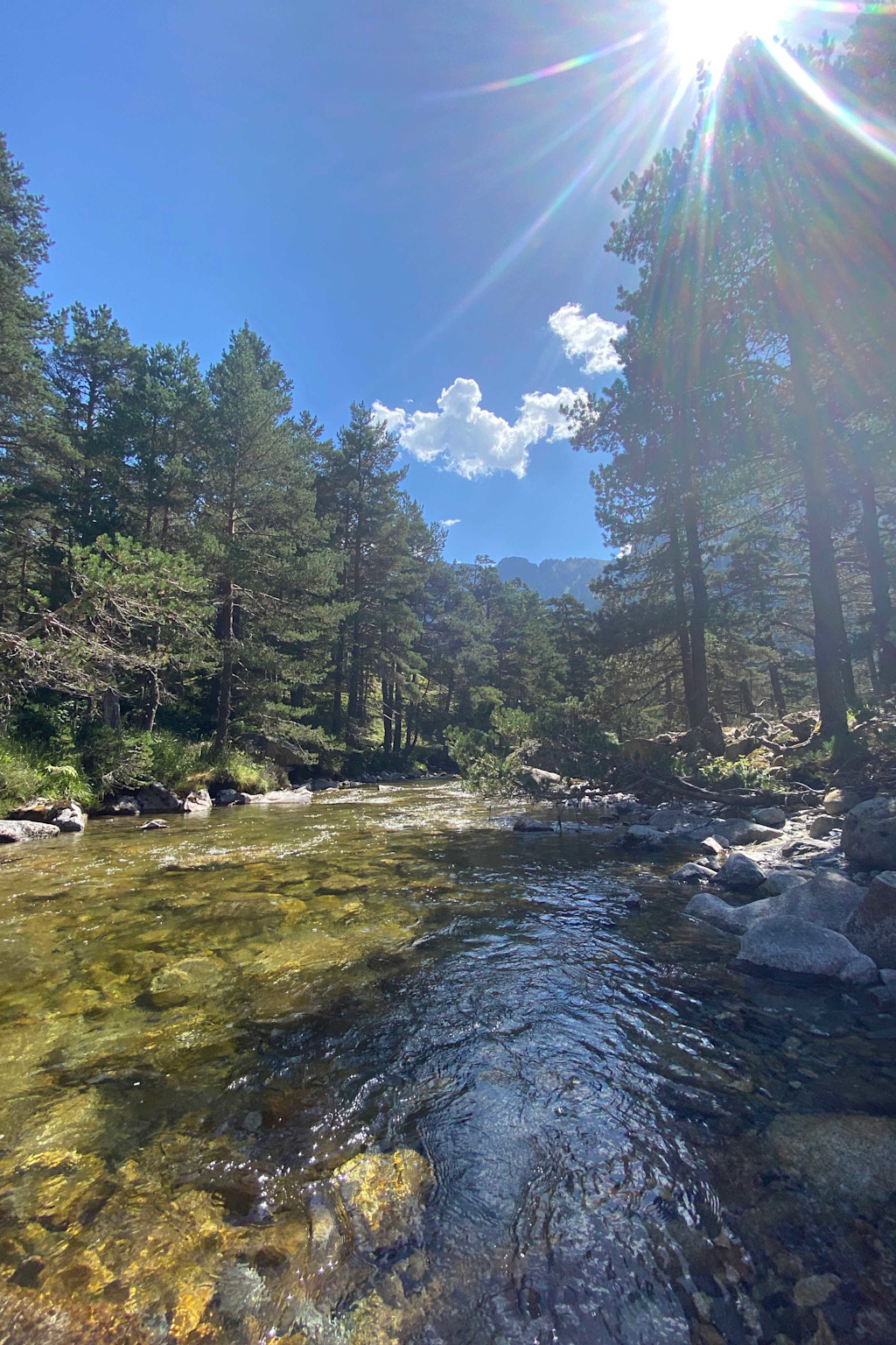 near Lac de Gaubé near Lac de Gaubé