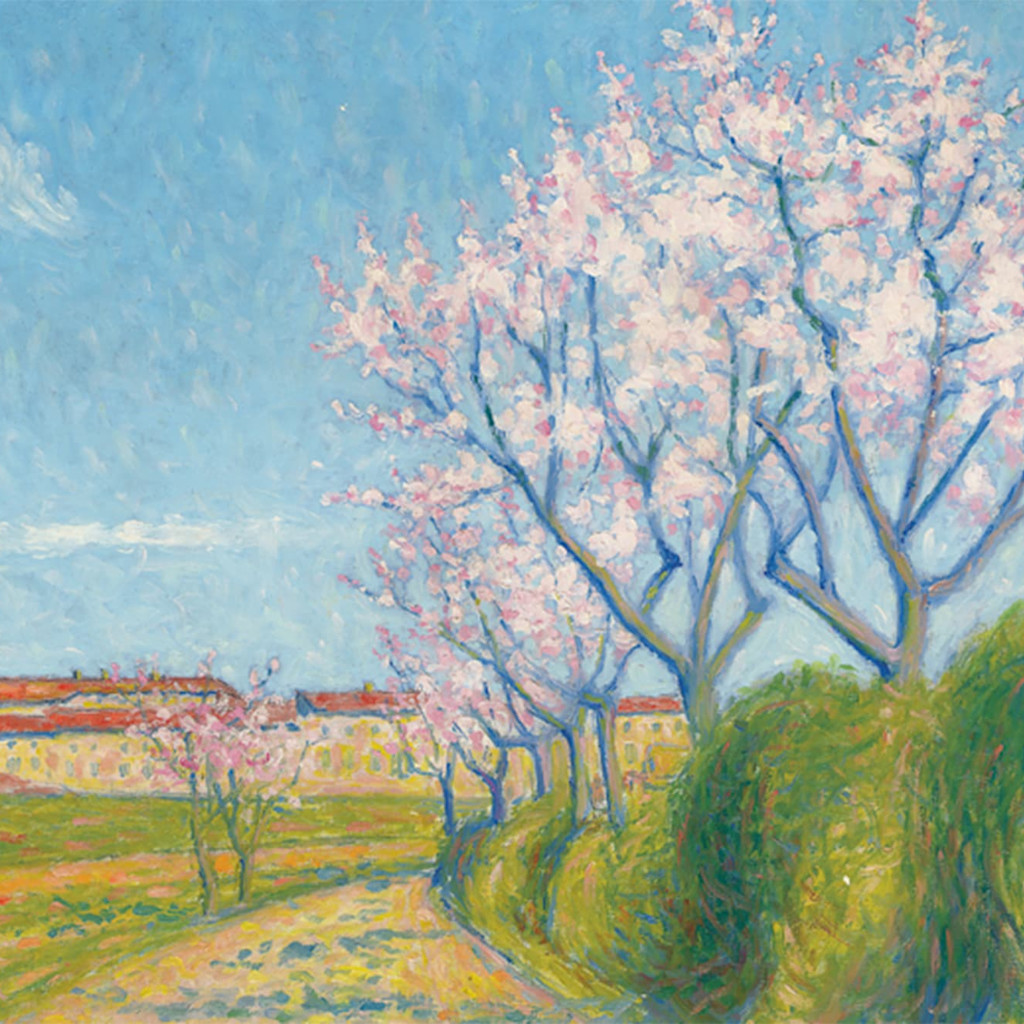 Arbes en Fleurs a l’Entrée de Cailhavel Arbes en Fleurs a l’Entrée de Cailhavel