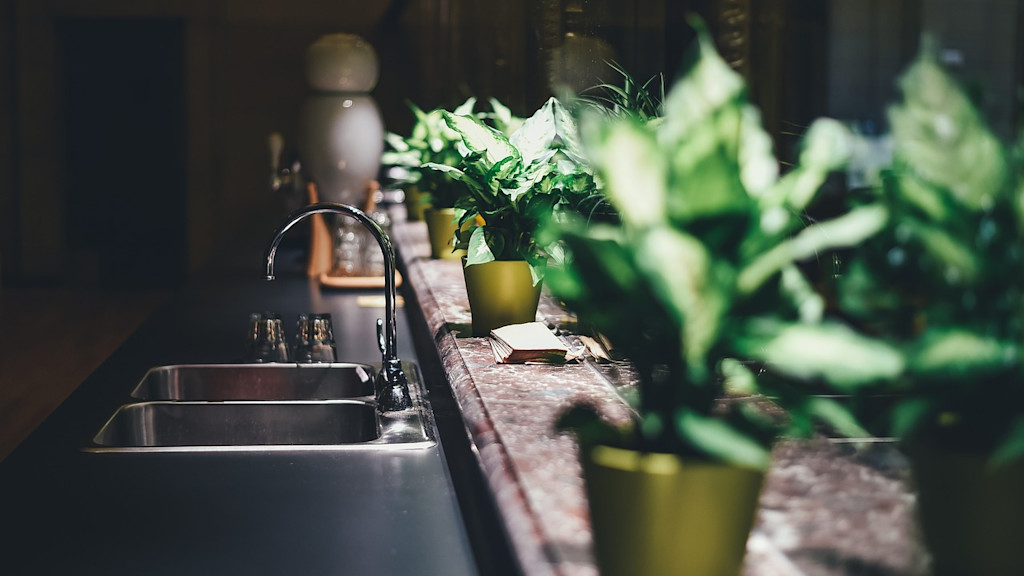 Indoor plants Indoor plants