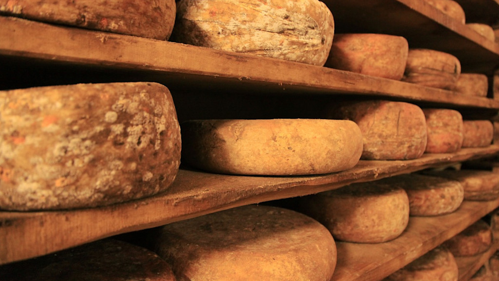 French cheese French cheese