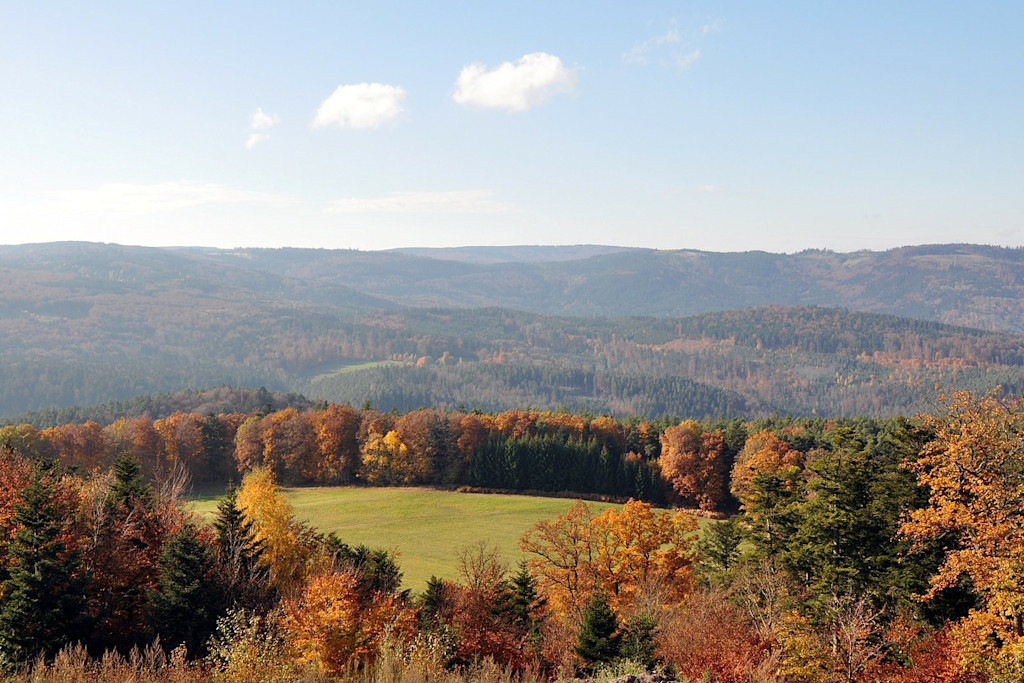 Automn Automn
