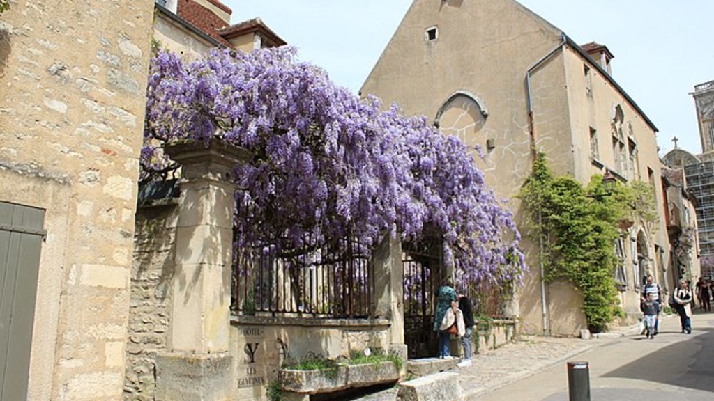 Vézelay Vézelay