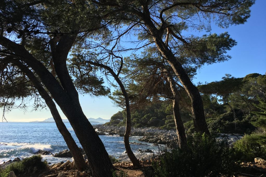 Le Sentier du Littoral, Cap d'Antibes Le Sentier du Littoral, Cap d'Antibes