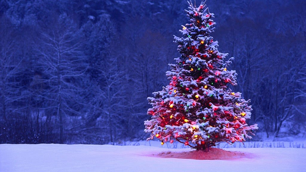 Christmas tree Christmas tree
