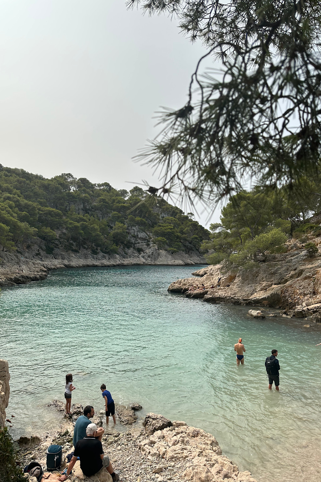 Calanque Port-Pin Calanque Port-Pin