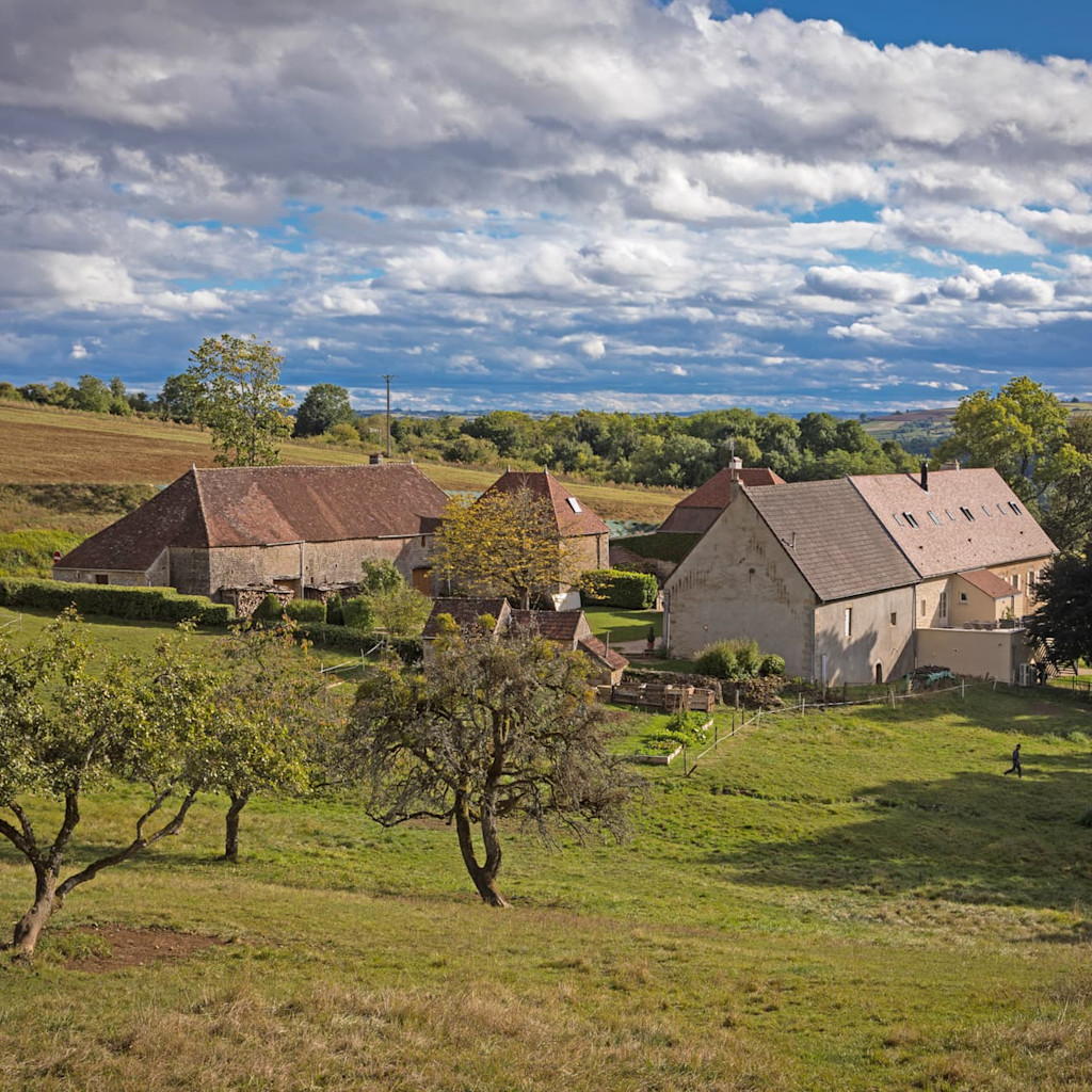 Domaine du Château Domaine du Château