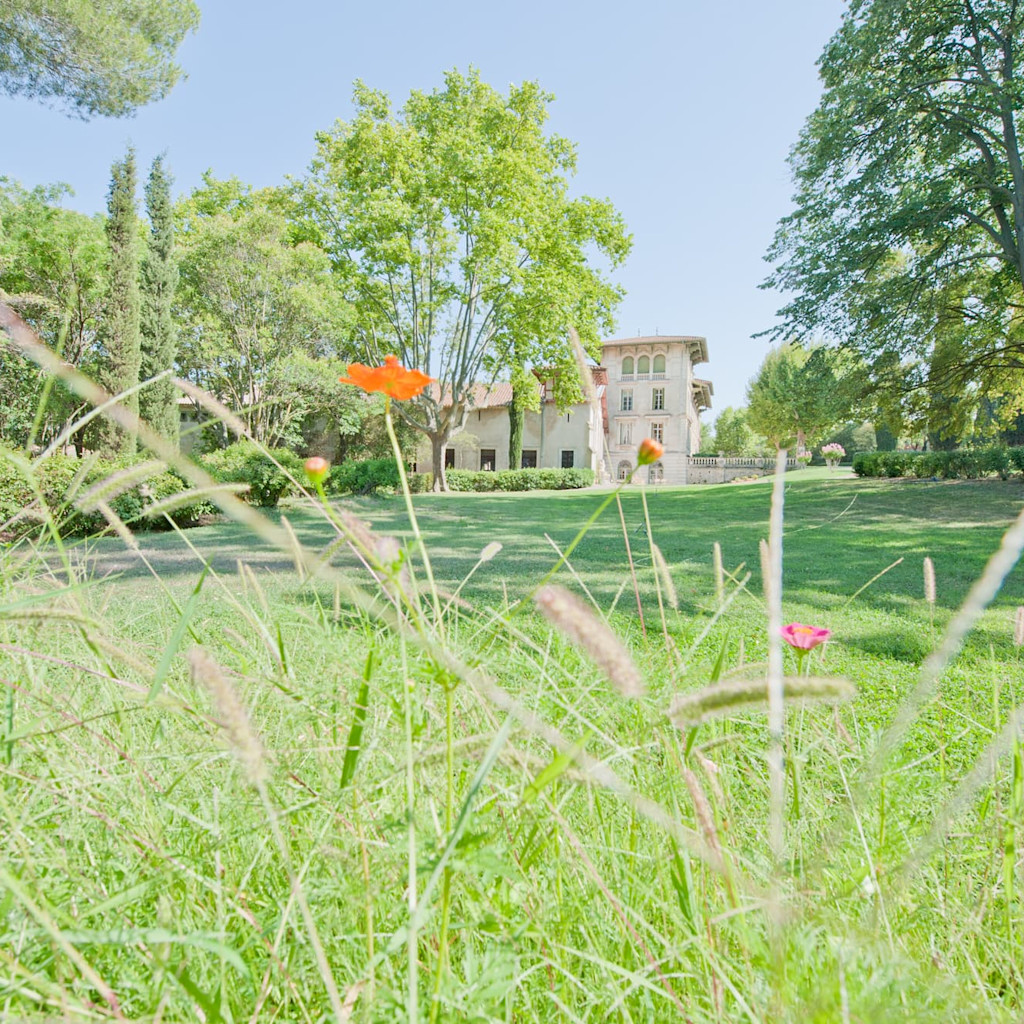 Domaine Massot Domaine Massot