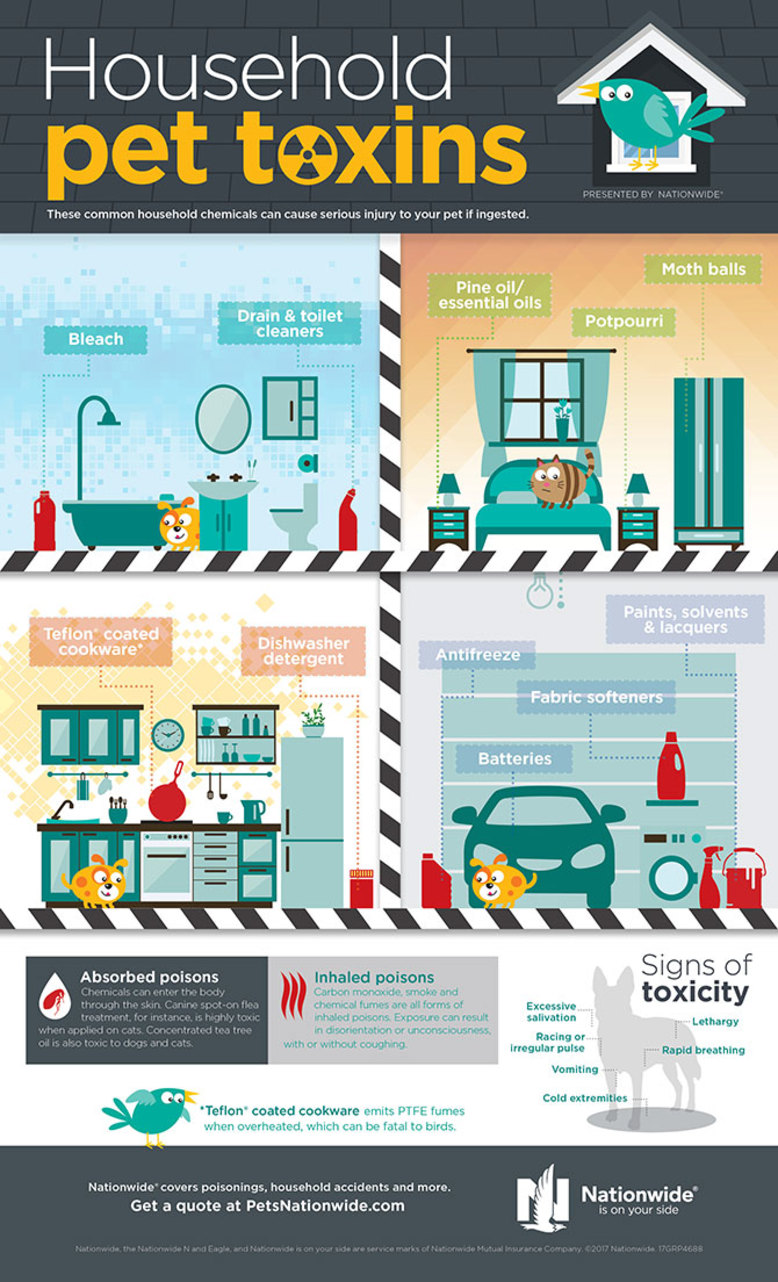 household-toxins-infographic