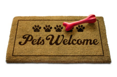 PetDisaster4