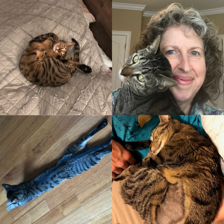Minnow-Photo-Collage-1