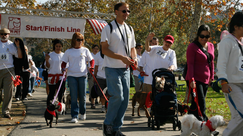Pet Charities
