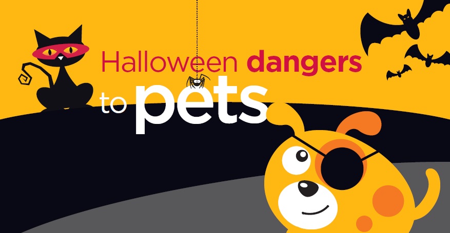 Halloween Fun and Foe for Dogs and Cats