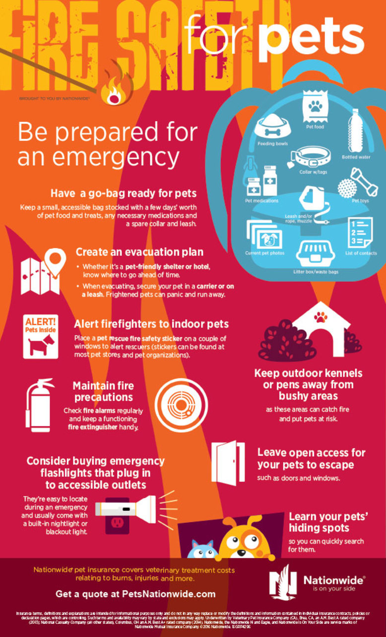 Pet Fire Safety Infographic
