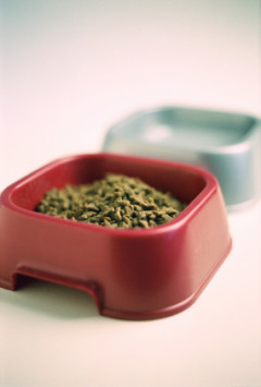 petfoodbowls
