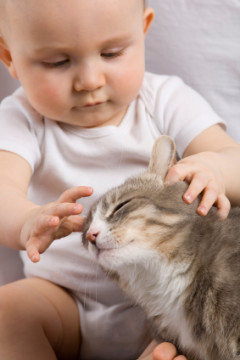 Infant with cat