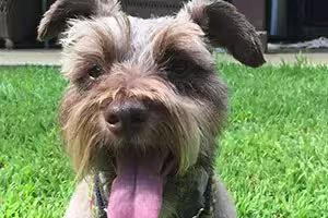 angus-von-wigglebottom