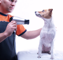 groomingpros
