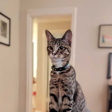 Kirkland Signature Brand