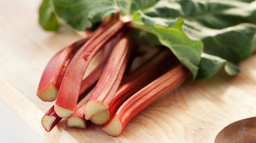 Rhubarb
