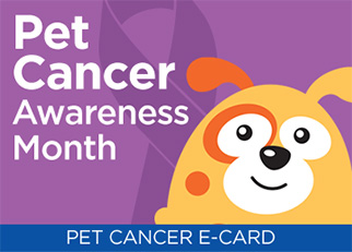 Pet cancer awareness month
