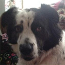 Customer Reviews Gracie Marie
