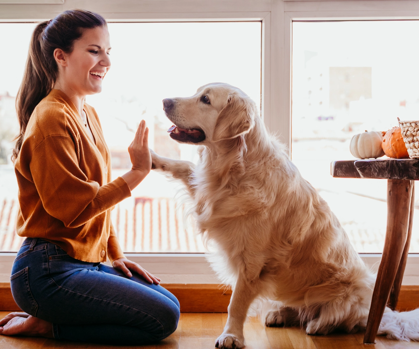 Flea and tick insurance - Woman high fiving golden retriever dog