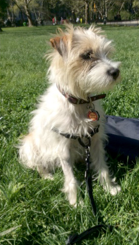 April-Hambone-Blog
