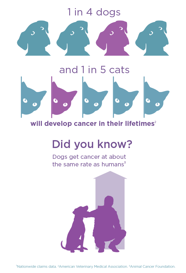 Dogs and cancer