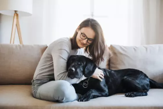 Dog on couch with woman