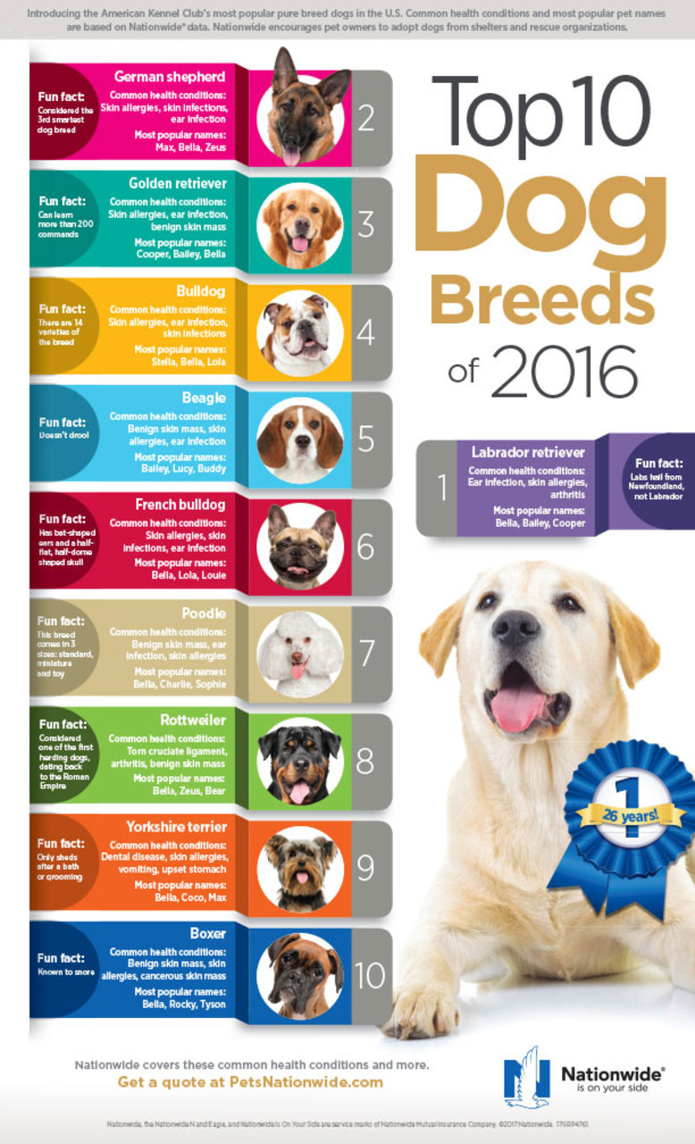Top10 Dog Breeds 2016