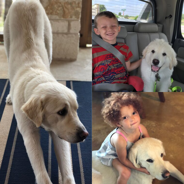 Max-Photo-Collage-1